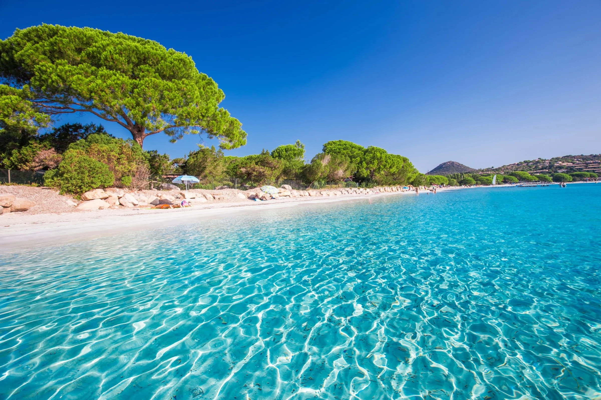 Découvrez la région de Porto-Vecchio